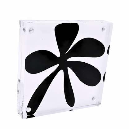 Mini Mod Shelfie Collection 7